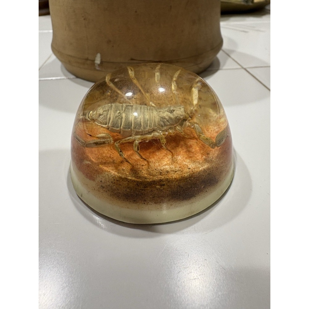 Vintage Real Scorpion Neon Gold Acrylic 3" Paperweight 3 " Dome